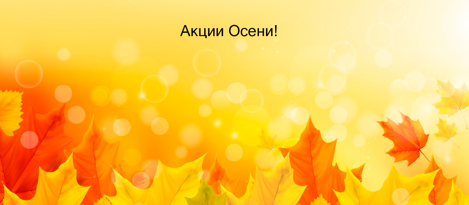 Букет-гигант из 21-й хризантемы за 5500₽